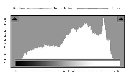 El histograma que utilizan la mayoría de programas de edición de imágenes representa 256 tonos