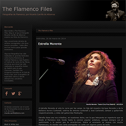 The Flamenco Files